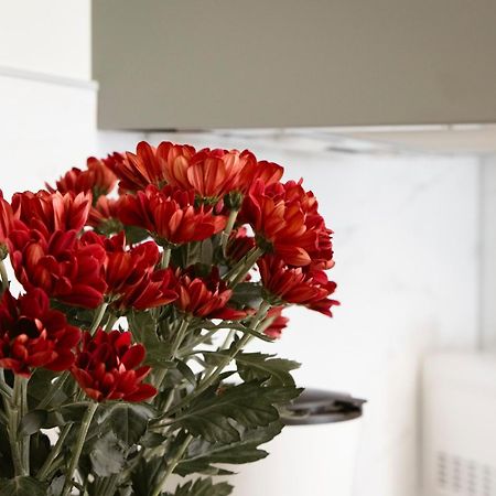 Apartman Anastasie Prague Ngoại thất bức ảnh