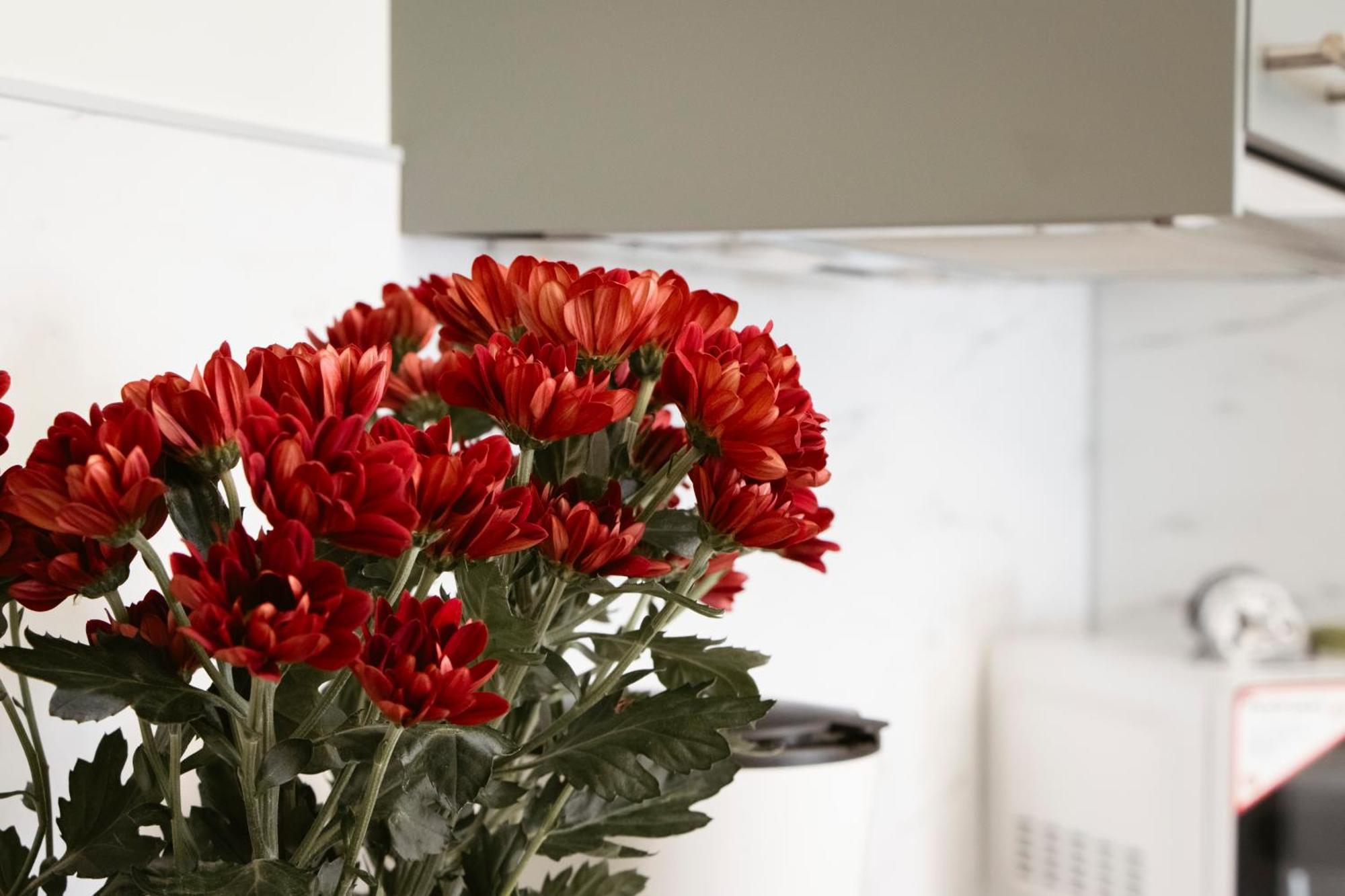 Apartman Anastasie Prague Ngoại thất bức ảnh